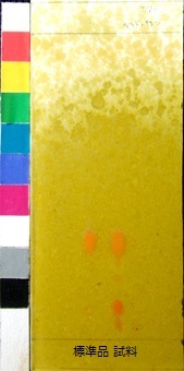 http://mpdb.nibiohn.go.jp/CONTENTS_ROOT/JP_IDENTIFICATION_PHOTO_DATA/JP_IDENTIFICATION_PHOTO_FILE/thumbnail/256.jpg