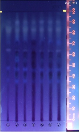 http://mpdb.nibiohn.go.jp/CONTENTS_ROOT/JP_IDENTIFICATION_PHOTO_DATA/JP_IDENTIFICATION_PHOTO_FILE/thumbnail/328.jpg