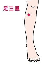 パニック障害 経絡・経穴(ツボ) 足三里