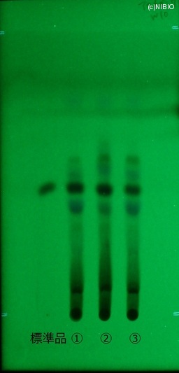 http://mpdb.nibiohn.go.jp/CONTENTS_ROOT/JP_IDENTIFICATION_PHOTO_DATA/JP_IDENTIFICATION_PHOTO_FILE/thumbnail/350.jpg