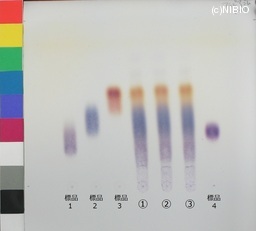 http://mpdb.nibiohn.go.jp/CONTENTS_ROOT/JP_IDENTIFICATION_PHOTO_DATA/JP_IDENTIFICATION_PHOTO_FILE/thumbnail/341.jpg