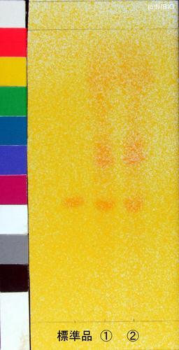http://mpdb.nibiohn.go.jp/CONTENTS_ROOT/PLANT_PHOTO_DATA/PHOTO_FILE/thumbnail/931.jpg