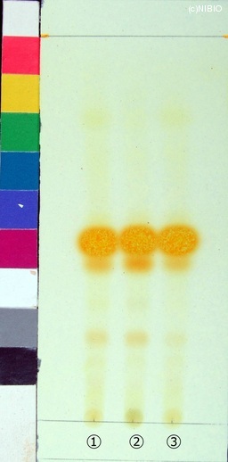 http://mpdb.nibiohn.go.jp/CONTENTS_ROOT/JP_IDENTIFICATION_PHOTO_DATA/JP_IDENTIFICATION_PHOTO_FILE/thumbnail/98.jpg