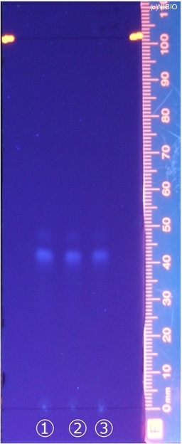http://mpdb.nibiohn.go.jp/CONTENTS_ROOT/JP_IDENTIFICATION_PHOTO_DATA/JP_IDENTIFICATION_PHOTO_FILE/thumbnail/182.jpg