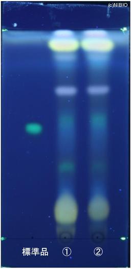 http://mpdb.nibiohn.go.jp/CONTENTS_ROOT/JP_IDENTIFICATION_PHOTO_DATA/JP_IDENTIFICATION_PHOTO_FILE/thumbnail/849.jpg