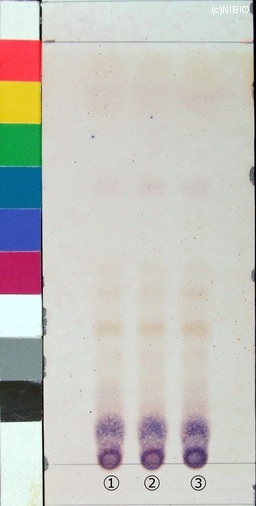 http://mpdb.nibiohn.go.jp/CONTENTS_ROOT/JP_IDENTIFICATION_PHOTO_DATA/JP_IDENTIFICATION_PHOTO_FILE/thumbnail/226.jpg