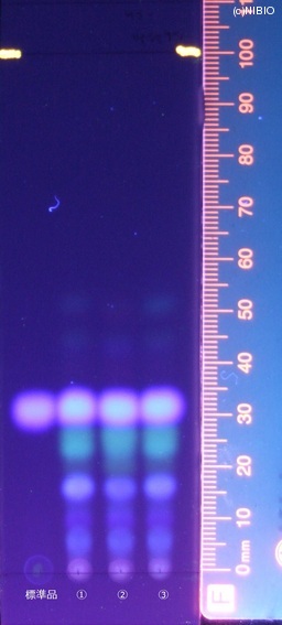 http://mpdb.nibiohn.go.jp/CONTENTS_ROOT/JP_IDENTIFICATION_PHOTO_DATA/JP_IDENTIFICATION_PHOTO_FILE/thumbnail/82.jpg