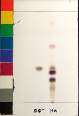 http://mpdb.nibiohn.go.jp/CONTENTS_ROOT/JP_IDENTIFICATION_PHOTO_DATA/JP_IDENTIFICATION_PHOTO_FILE/thumbnail/963.jpg