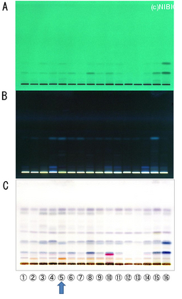 http://mpdb.nibiohn.go.jp/CONTENTS_ROOT/TLC_DATA/TLC_FIG_FILE/thumbnail/741.jpg