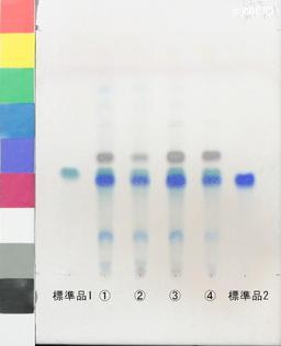 http://mpdb.nibiohn.go.jp/CONTENTS_ROOT/JP_IDENTIFICATION_PHOTO_DATA/JP_IDENTIFICATION_PHOTO_FILE/thumbnail/995.jpg