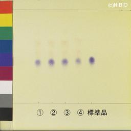 http://mpdb.nibiohn.go.jp/CONTENTS_ROOT/JP_IDENTIFICATION_PHOTO_DATA/JP_IDENTIFICATION_PHOTO_FILE/thumbnail/1175.jpg