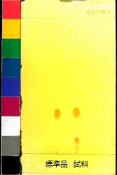 http://mpdb.nibiohn.go.jp/CONTENTS_ROOT/JP_IDENTIFICATION_PHOTO_DATA/JP_IDENTIFICATION_PHOTO_FILE/thumbnail/257.jpg