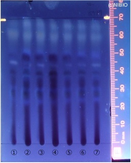 http://mpdb.nibiohn.go.jp/CONTENTS_ROOT/JP_IDENTIFICATION_PHOTO_DATA/JP_IDENTIFICATION_PHOTO_FILE/thumbnail/329.jpg