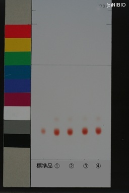 http://mpdb.nibiohn.go.jp/CONTENTS_ROOT/JP_IDENTIFICATION_PHOTO_DATA/JP_IDENTIFICATION_PHOTO_FILE/thumbnail/1013.JPG