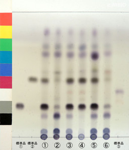 http://mpdb.nibiohn.go.jp/CONTENTS_ROOT/JP_IDENTIFICATION_PHOTO_DATA/JP_IDENTIFICATION_PHOTO_FILE/thumbnail/1351.jpg