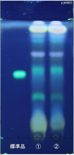 http://mpdb.nibiohn.go.jp/CONTENTS_ROOT/JP_IDENTIFICATION_PHOTO_DATA/JP_IDENTIFICATION_PHOTO_FILE/thumbnail/850.jpg