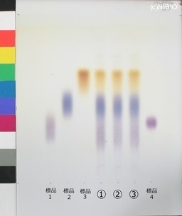 http://mpdb.nibiohn.go.jp/CONTENTS_ROOT/JP_IDENTIFICATION_PHOTO_DATA/JP_IDENTIFICATION_PHOTO_FILE/thumbnail/342.jpg