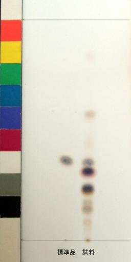 http://mpdb.nibiohn.go.jp/CONTENTS_ROOT/JP_IDENTIFICATION_PHOTO_DATA/JP_IDENTIFICATION_PHOTO_FILE/thumbnail/964.jpg