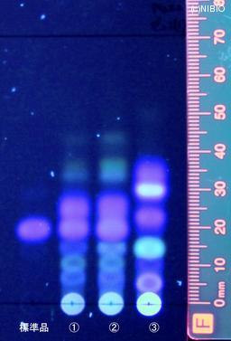 http://mpdb.nibiohn.go.jp/CONTENTS_ROOT/JP_IDENTIFICATION_PHOTO_DATA/JP_IDENTIFICATION_PHOTO_FILE/thumbnail/815.jpg