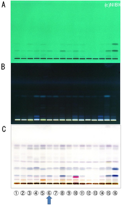 http://mpdb.nibiohn.go.jp/CONTENTS_ROOT/TLC_DATA/TLC_FIG_FILE/thumbnail/742.jpg