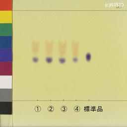 http://mpdb.nibiohn.go.jp/CONTENTS_ROOT/JP_IDENTIFICATION_PHOTO_DATA/JP_IDENTIFICATION_PHOTO_FILE/thumbnail/1176.jpg