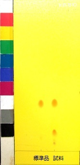 http://mpdb.nibiohn.go.jp/CONTENTS_ROOT/JP_IDENTIFICATION_PHOTO_DATA/JP_IDENTIFICATION_PHOTO_FILE/thumbnail/258.jpg