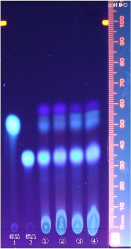 http://mpdb.nibiohn.go.jp/CONTENTS_ROOT/JP_IDENTIFICATION_PHOTO_DATA/JP_IDENTIFICATION_PHOTO_FILE/thumbnail/154.jpg