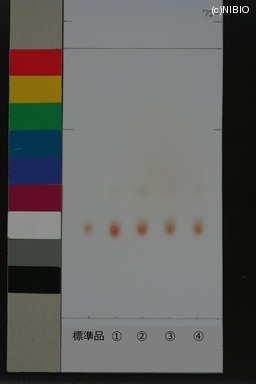 http://mpdb.nibiohn.go.jp/CONTENTS_ROOT/JP_IDENTIFICATION_PHOTO_DATA/JP_IDENTIFICATION_PHOTO_FILE/thumbnail/1014.JPG