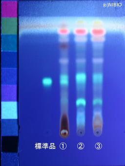 http://mpdb.nibiohn.go.jp/CONTENTS_ROOT/JP_IDENTIFICATION_PHOTO_DATA/JP_IDENTIFICATION_PHOTO_FILE/thumbnail/851.jpg