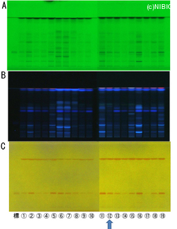 http://mpdb.nibiohn.go.jp/CONTENTS_ROOT/TLC_DATA/TLC_FIG_FILE/thumbnail/792.jpg