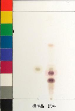 http://mpdb.nibiohn.go.jp/CONTENTS_ROOT/JP_IDENTIFICATION_PHOTO_DATA/JP_IDENTIFICATION_PHOTO_FILE/thumbnail/965.jpg