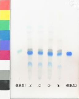 http://mpdb.nibiohn.go.jp/CONTENTS_ROOT/JP_IDENTIFICATION_PHOTO_DATA/JP_IDENTIFICATION_PHOTO_FILE/thumbnail/997.jpg