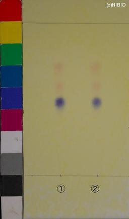 http://mpdb.nibiohn.go.jp/CONTENTS_ROOT/JP_IDENTIFICATION_PHOTO_DATA/JP_IDENTIFICATION_PHOTO_FILE/thumbnail/1177.JPG