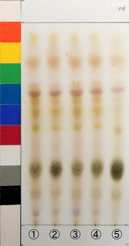 http://mpdb.nibiohn.go.jp/CONTENTS_ROOT/JP_IDENTIFICATION_PHOTO_DATA/JP_IDENTIFICATION_PHOTO_FILE/thumbnail/1311.jpg