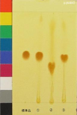 http://mpdb.nibiohn.go.jp/CONTENTS_ROOT/JP_IDENTIFICATION_PHOTO_DATA/JP_IDENTIFICATION_PHOTO_FILE/thumbnail/627.JPG
