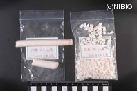 http://mpdb.nibiohn.go.jp/CONTENTS_ROOT/PLANT_PHOTO_DATA/PHOTO_FILE/thumbnail/408.jpg