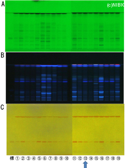 http://mpdb.nibiohn.go.jp/CONTENTS_ROOT/TLC_DATA/TLC_FIG_FILE/thumbnail/790.jpg