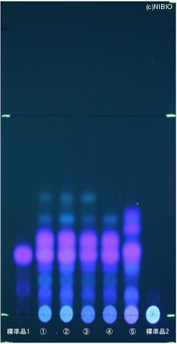 http://mpdb.nibiohn.go.jp/CONTENTS_ROOT/JP_IDENTIFICATION_PHOTO_DATA/JP_IDENTIFICATION_PHOTO_FILE/thumbnail/817.jpg