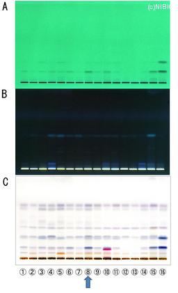 http://mpdb.nibiohn.go.jp/CONTENTS_ROOT/TLC_DATA/TLC_FIG_FILE/thumbnail/744.jpg