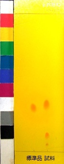 http://mpdb.nibiohn.go.jp/CONTENTS_ROOT/JP_IDENTIFICATION_PHOTO_DATA/JP_IDENTIFICATION_PHOTO_FILE/thumbnail/260.jpg