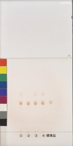 http://mpdb.nibiohn.go.jp/CONTENTS_ROOT/JP_IDENTIFICATION_PHOTO_DATA/JP_IDENTIFICATION_PHOTO_FILE/thumbnail/1016.jpg