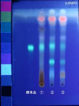 http://mpdb.nibiohn.go.jp/CONTENTS_ROOT/JP_IDENTIFICATION_PHOTO_DATA/JP_IDENTIFICATION_PHOTO_FILE/thumbnail/853.jpg