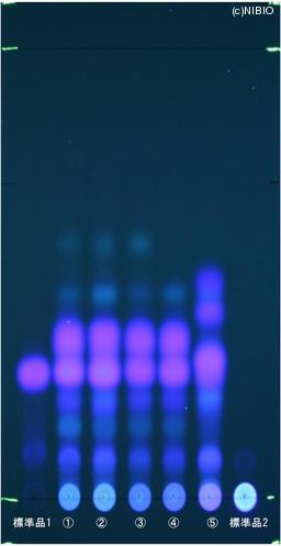 http://mpdb.nibiohn.go.jp/CONTENTS_ROOT/JP_IDENTIFICATION_PHOTO_DATA/JP_IDENTIFICATION_PHOTO_FILE/thumbnail/818.jpg