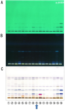 http://mpdb.nibiohn.go.jp/CONTENTS_ROOT/TLC_DATA/TLC_FIG_FILE/thumbnail/745.jpg
