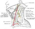https://upload.wikimedia.org/wikipedia/commons/thumb/b/b0/Gray1210.png/120px-Gray1210.png