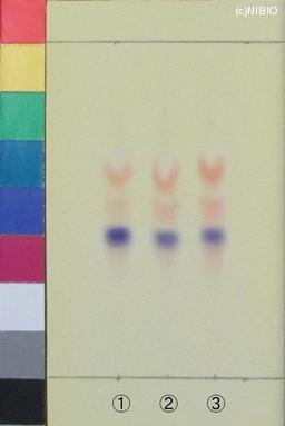 http://mpdb.nibiohn.go.jp/CONTENTS_ROOT/JP_IDENTIFICATION_PHOTO_DATA/JP_IDENTIFICATION_PHOTO_FILE/thumbnail/1179.jpg