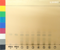 http://mpdb.nibiohn.go.jp/CONTENTS_ROOT/JP_IDENTIFICATION_PHOTO_DATA/JP_IDENTIFICATION_PHOTO_FILE/thumbnail/1353.jpg