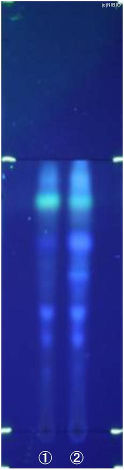 http://mpdb.nibiohn.go.jp/CONTENTS_ROOT/JP_IDENTIFICATION_PHOTO_DATA/JP_IDENTIFICATION_PHOTO_FILE/thumbnail/601.jpg