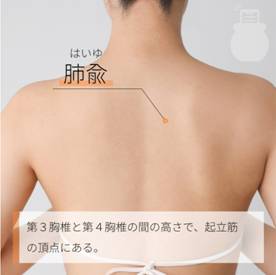肺兪 はいゆ｜ツボの場所と効果｜ツボネット 鍼灸の症例が検索できるツボ辞典