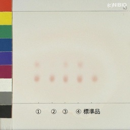 http://mpdb.nibiohn.go.jp/CONTENTS_ROOT/JP_IDENTIFICATION_PHOTO_DATA/JP_IDENTIFICATION_PHOTO_FILE/thumbnail/1017.jpg